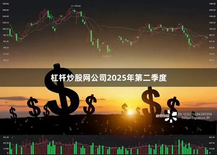 杠杆炒股网公司2025年第二季度