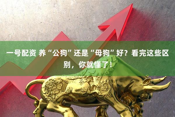 一号配资 养“公狗”还是“母狗”好？看完这些区别，你就懂了！