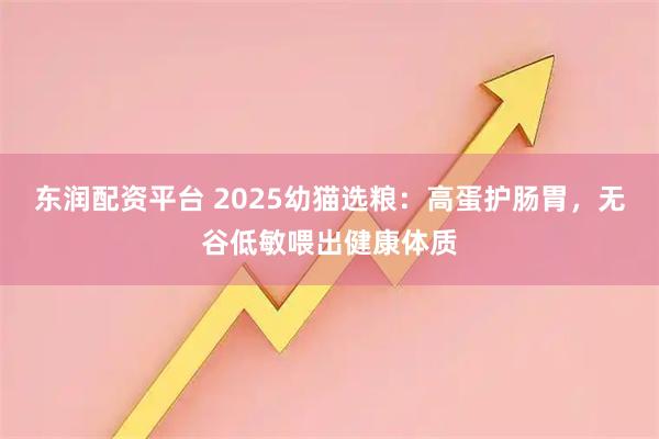 东润配资平台 2025幼猫选粮：高蛋护肠胃，无谷低敏喂出健康体质