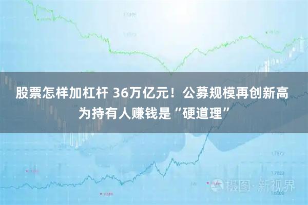 股票怎样加杠杆 36万亿元！公募规模再创新高 为持有人赚钱是“硬道理”